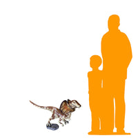 Baby Dilophosaurus Dinosaur Life Size Statue