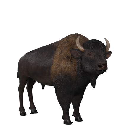 Buffalo Bison Life Size Statue - LM Treasures 