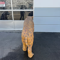 Smilodon Saber Tooth Life Size Statue