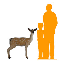 Doe Fallow Deer Life Size Statue