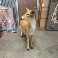 Doe Fallow Deer Life Size Statue