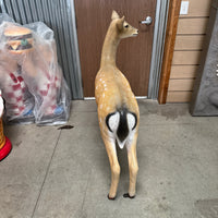 Doe Fallow Deer Life Size Statue