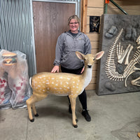 Doe Fallow Deer Life Size Statue