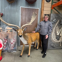 Buck Fallow Deer Life Size Statue