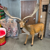 Buck Fallow Deer Life Size Statue