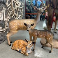 Laying Fawn Deer Life Size Statue