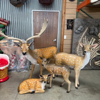 Laying Fawn Deer Life Size Statue