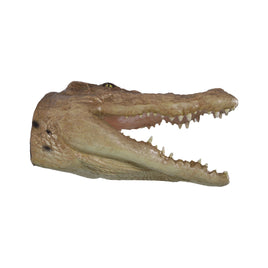 Crocodile Head Wall Decor Statue