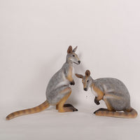 Wallaby Kangaroo Crouching Life Size Statue