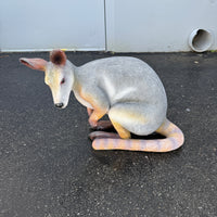 Wallaby Kangaroo Crouching Life Size Statue