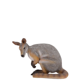 Wallaby Kangaroo Crouching Life Size Statue