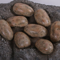 Dinosaur Egg Nest Life Size Statue