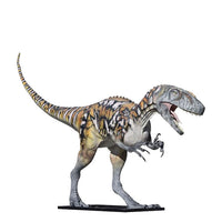 Australovenator Dinosaur Life Size Statue