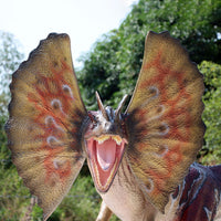 Dilophosaurus Dinosaur Gel Coat Life Size Statue