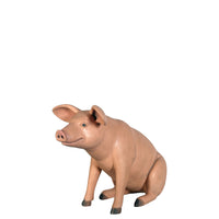 Baby Pig Sitting Life Size Statue