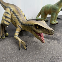 Velociraptor Baby Razor Dinosaur Life Size Statue