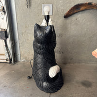 Maine Coon Cat Light Table Top Lamp Statue