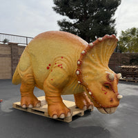 Orange Triceratops Baby Dinosaur Life Size Statue