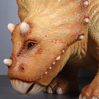 Orange Triceratops Baby Dinosaur Life Size Statue