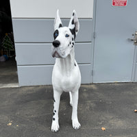 Great Dane Dog Life Size Statue