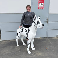 Great Dane Dog Life Size Statue