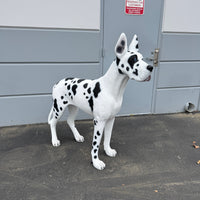 Great Dane Dog Life Size Statue