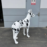 Great Dane Dog Life Size Statue