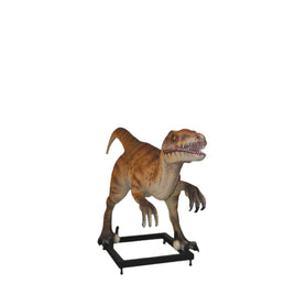 Velociraptor Dinosaur On Base Life Size Statue