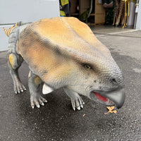 Protoceratops Dinosaur Life Size Statue