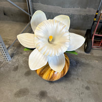 White Narcissus Flower In Vase Statue