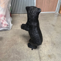 Baby North American Black Bear Statue