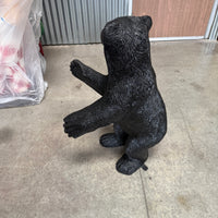 Baby North American Black Bear Statue