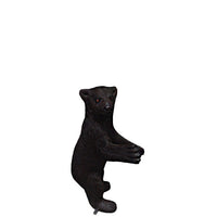 Baby North American Black Bear Statue