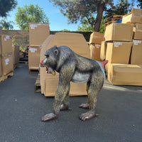 Baboon Monkey Life Size Statue