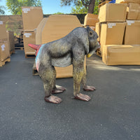 Baboon Monkey Life Size Statue