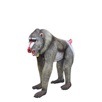 Baboon Monkey Life Size Statue