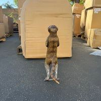 Meerkat Life Size Statue