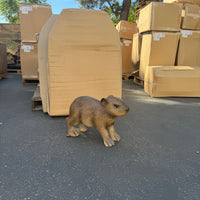 Capybara Baby Life Size Statue