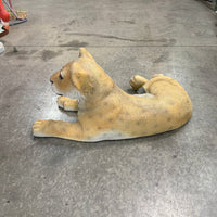 Laying Lion Cub Life Size Statue