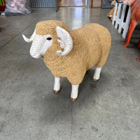 Baby Merino Ram Life Size Statue