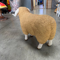 Baby Merino Ram Life Size Statue