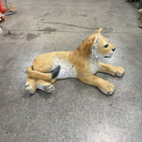 Laying Lion Cub Life Size Statue