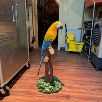 Mutation Macaw Yellow Blue Parrot On Branch Life Size Statue