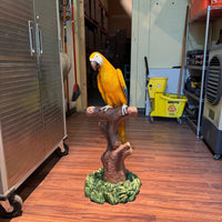 Mutation Macaw Yellow Blue Parrot On Branch Life Size Statue