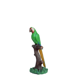 Green Macaw Buffon Parrot On Branch Life Size Statue