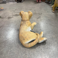 Laying Lion Cub Life Size Statue