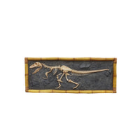 T-Rex Dinosaur Skeleton Wall Decor Dig Statue