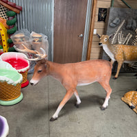 Young Deer Life Size Statue