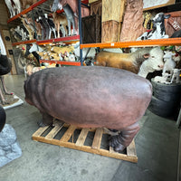 Realistic Hippopotamus Life Size Statue