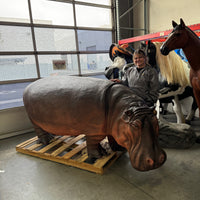 Realistic Hippopotamus Life Size Statue